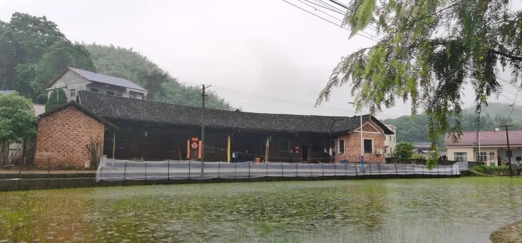 DƬ